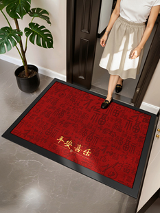 大江地垫入户门地毯高级感耐脏除尘免洗门口专用脚垫红色进门垫子