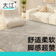 大江地毯高级感定制客厅沙发轻奢毛毯子卧室房间奶油风地垫床边毯