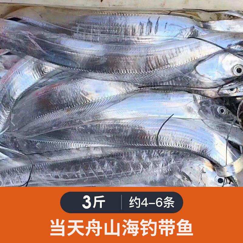 东海本地舟山野生小眼热气带鱼新鲜特级大海鲜鲜活海鱼3斤4-6条