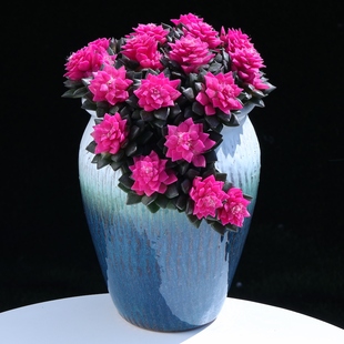 花吹雪多肉植物钱多多肉肉植物组合小盆栽室内大颗好养云南直发