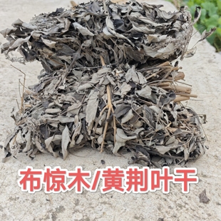 黄荆枝叶晒干布荆枝叶五指风布惊叶碱水粽原料自然晒干切断干货