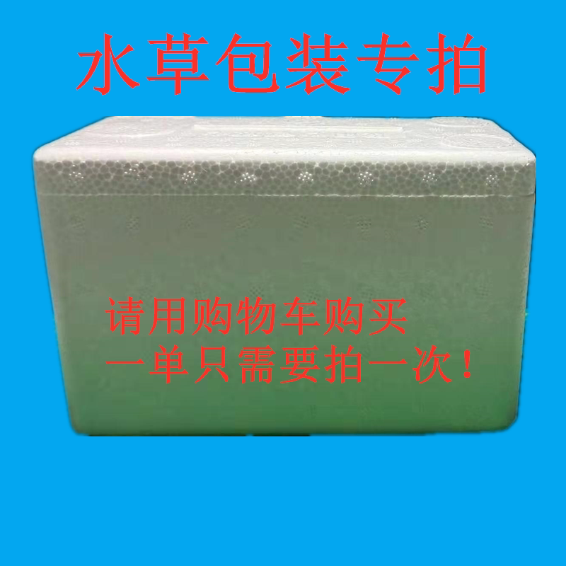 明昊水族莫斯前景水榕阳性等水草水草