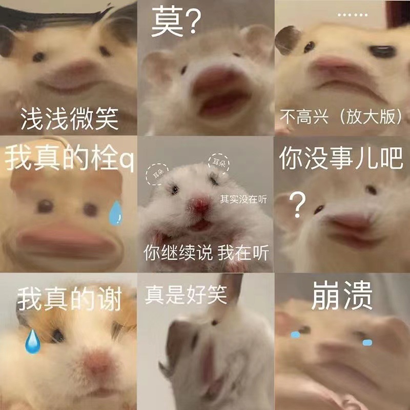 搞笑仓鼠表情包沙雕贴纸手账贴画