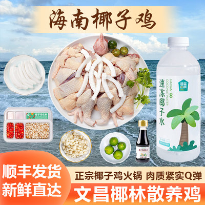 海南椰子鸡文昌鸡套餐火锅食材半成品蘸料齐全汤料包调汁正宗海南