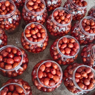 沧州金丝小枣醉枣今年新货