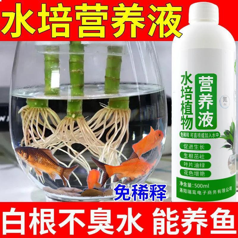 植物肥料水培植物营养液富贵竹水养营养液转运观音竹子家用水养植