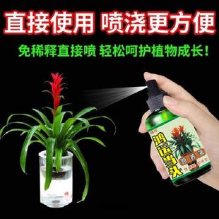 鸿运当头营养液防黄叶烂根促开花酸性植物叶面喷施养花肥料通用型