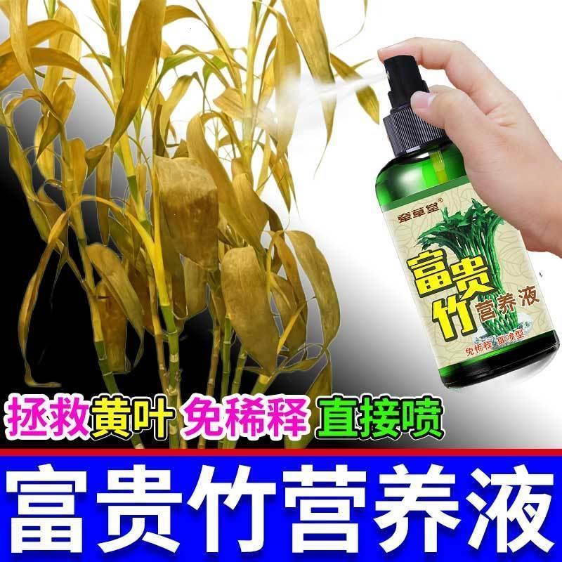 植物肥料【免稀释】富贵竹专用营养液转运观音竹子水培土培家用植