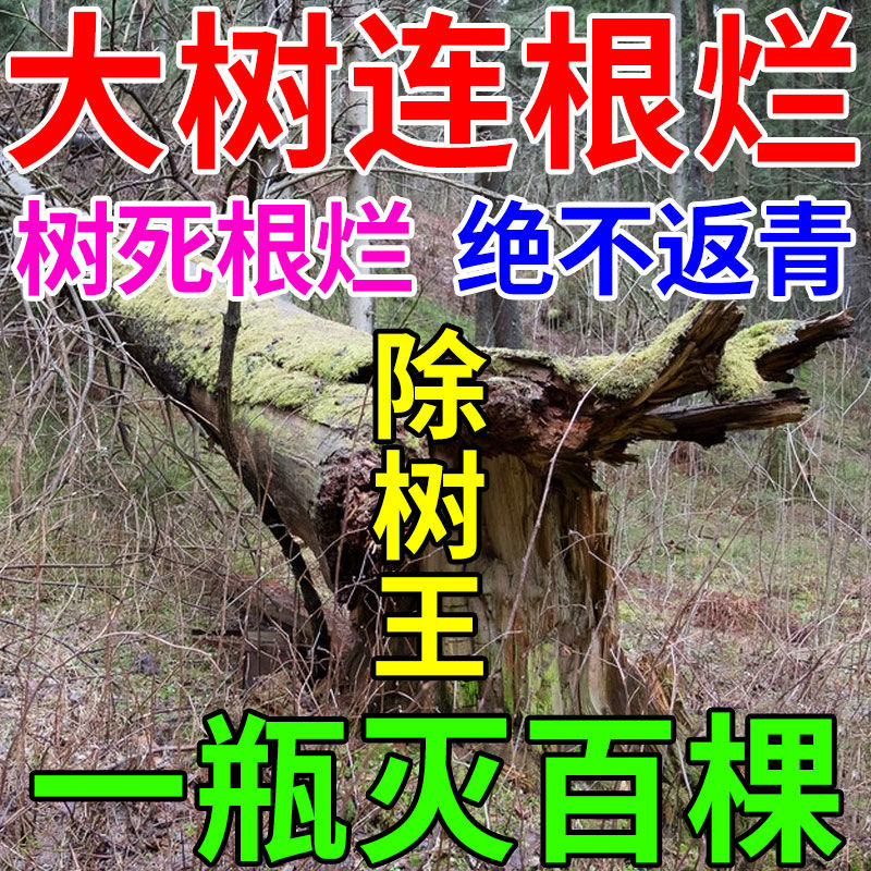 杀树硫酸树竹草烂根剂强力除树剂死树烂根大树烂树根腐蚀专用药