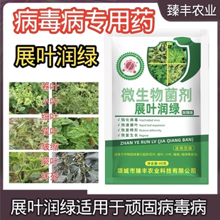 展叶润绿黄瓜辣椒番茄花叶卷叶小叶病毒病专用药条斑黄化曲叶