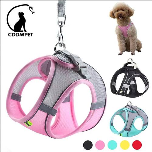 Puppy Cat Vest Harness With Leash Breathable Mesh Pet Chest