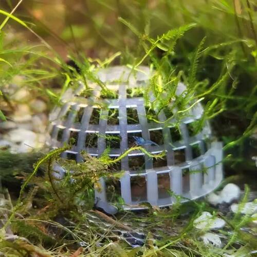Aquarium Moss Ball Filter Aquatic Pet Supplies Decorations F