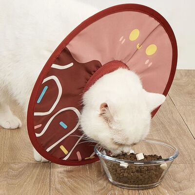 Pet Collar Anti Bite Surgical Anti Lick Wound Healing Protec