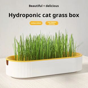 Hydroponic Cat Grass Box Cat Treats Catnip Hydroponic Soille