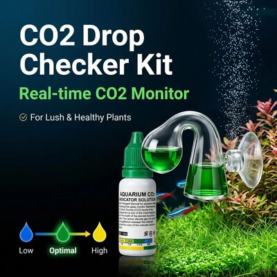 CO2 Drop Checker Note Shape Carbon Dioxide Monitor Glass Det