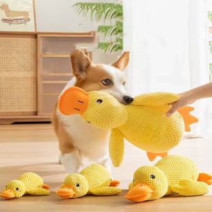 relieve duck toys hug with dog boredom Dog sleeping