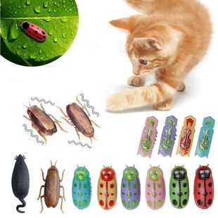 Robot Catnip Electric Mini Bugs Tunnel Funny Automatic Toy