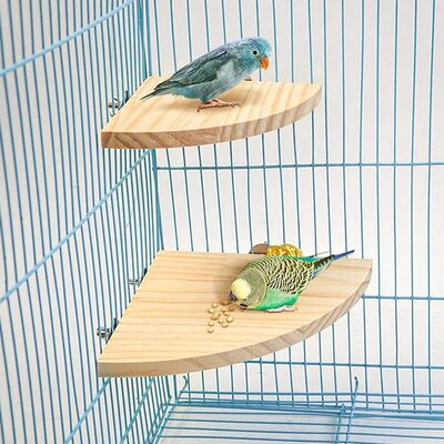 Parrot Bird Wood Perch Stand Platform Rectangle Fan-shaped S