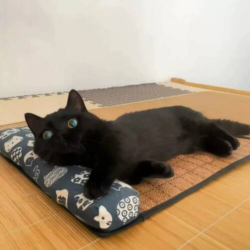 Indoor Rattan Woven Pet Cooling Mat Summer Sleeping Bed Pad