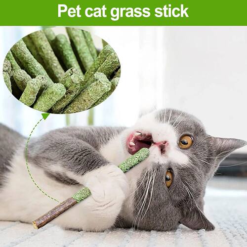 Cat Grass Sticks Indoor Cat Teething Grass Sticks Teething S