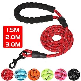 With Leash Comfortable Padded Double Reflective Handle Dog