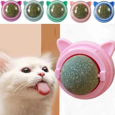 Pet Cat Grass Snacks Catnip Balls Wall Stick-on Ball Toys Ca