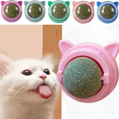 Pet Cat Grass Snacks Catnip Balls Wall Stick-on Ball Toys Ca