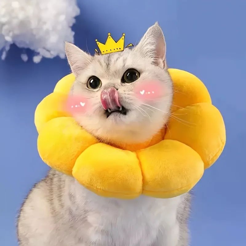 Cat Recovery Collar Cute Solar Flower Neck Cone After Surger