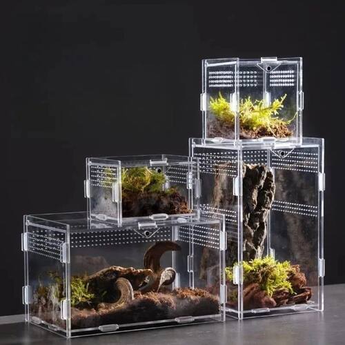 Durable Acrylic Reptile Habitat Clear Multiple Size Lizard B