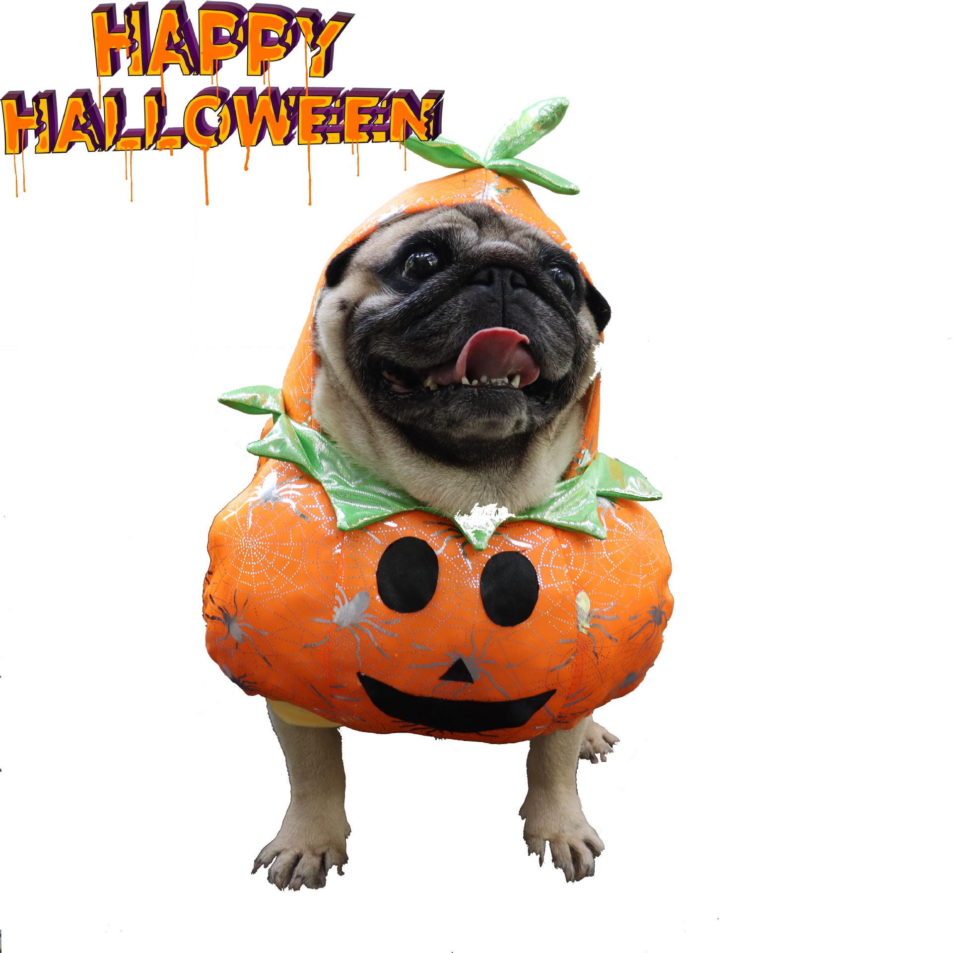 Halloween Clothes Funny Pumpkin Clothes Dog Cat Funny Transf