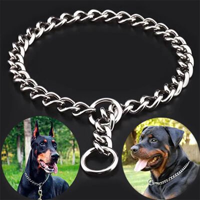 Pet P Snake Chain Collar Dog Choke Collar Stainless Steel Sh