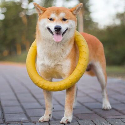 Dog Toy Training Ring Puller Puppy Flying Disk Chewing Toys
