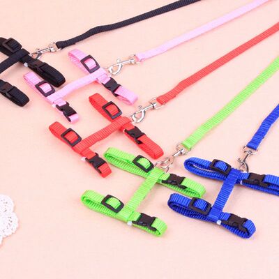 Hot-selling cat chest strap simple design traction rope high