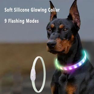 USB Rechargeable Glowing Collar for Large and Small Dogs LED