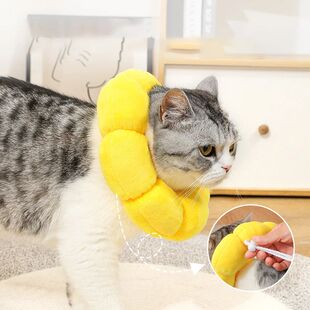 Sunflower Pet Collar Anti-Bite Surgery Anti-Lick Wound Heali