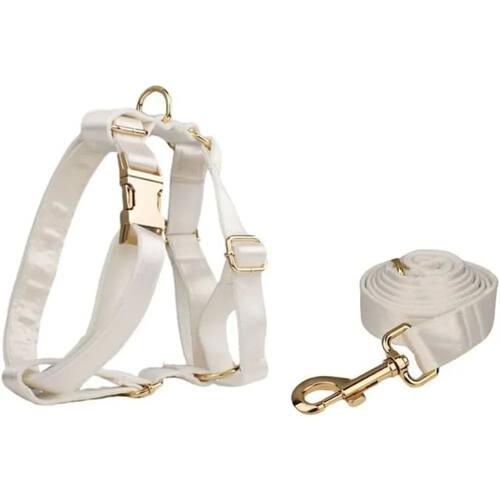 Personalized With Name Tag Soft Durable Collar, Bow Collar P