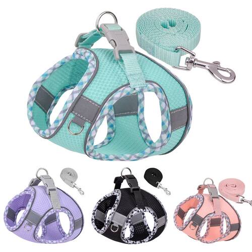 Outdoor Walking Pincher Dog Harness and Leash Set for Small