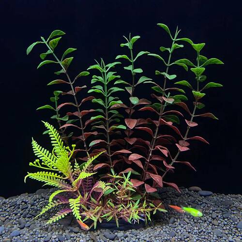 Artificial Aquarium Decor Plants Plastic Aquatic Plants Unde