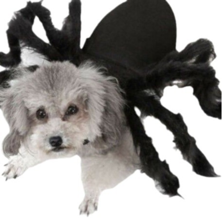 Halloween Clothes Transformation Clothes Dog Clothes Cat Clo