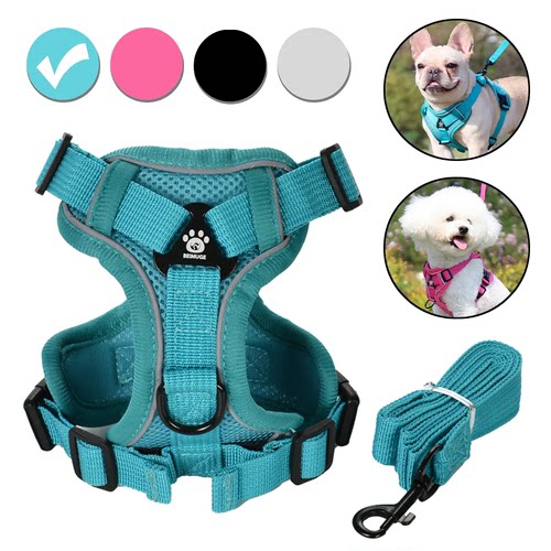 Dog Harness Leash Set for Small Medium Dogs Cats Reflective