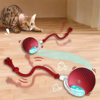 Intelligent interactive cat ball long-lasting and durable ea