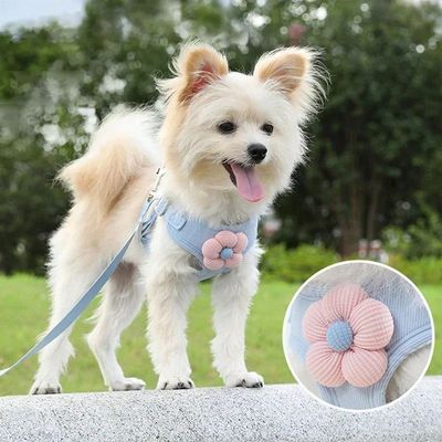 Pet vest traction rope dog cartoon three-dimensional accesso