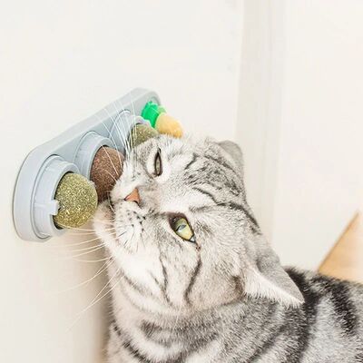 4 in 1 Rotating Catnip Silver Vine Ball Teeth Cleaning Acne