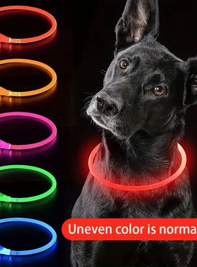 Pet Dog LED Light Collar Luminous Anti-Lost Dog Collar USB R