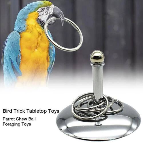 Bird Parrots Interactive Training Toys Intelligence Developm