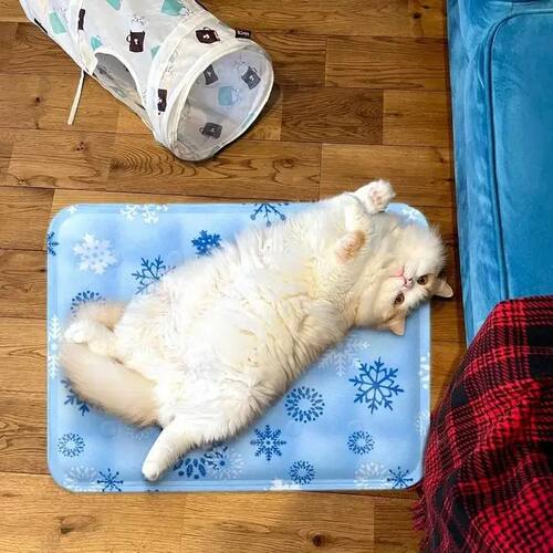 Cats Pet Products Cooling Cushions Accessories Accessory Pup