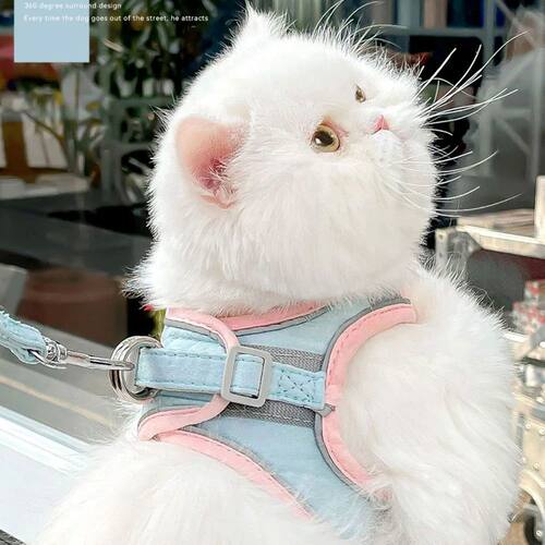 Cat Dog Noctilucent Harness with Lead Leash Vest Polyester M