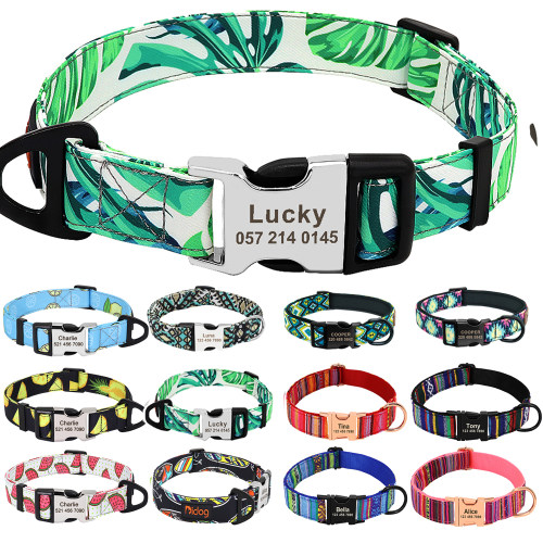 Nylon Pet Dog Collar Personalized Nameplate ID Tag Accessori