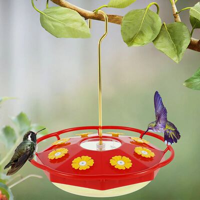 Hummingbird Feeder with 8 Feeding Hanging Bird Feeder Ant an
