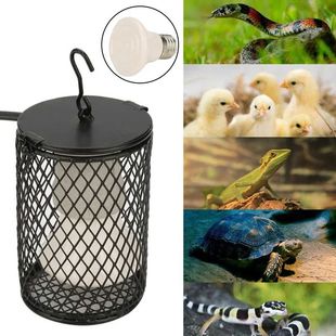 Turtle Infrared Heating E27 100W Reptiles Snake Lamp Lizard